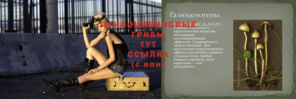 эйфоретик Ивантеевка