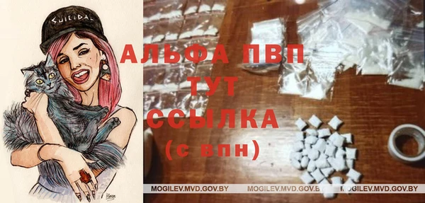тгк Дмитровск