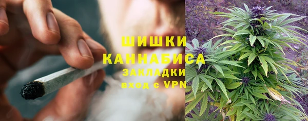 тгк Дмитровск