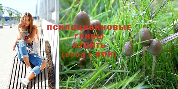 mdpv Заречный