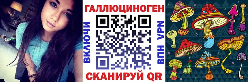 что такое наркотик  Кировград  Галлюциногенные грибы Psilocybe 